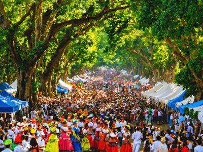 Festival Alerce Milenario