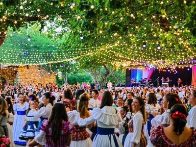 Festival Alerce Milenario