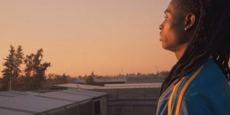 Perro bomba: En la primera línea